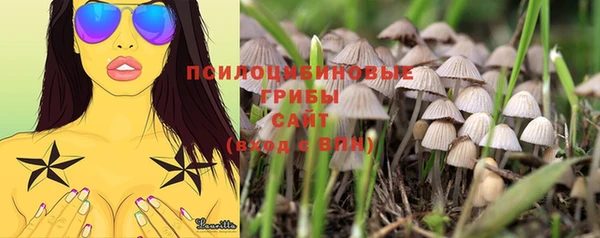 мяу мяу мука Бугульма