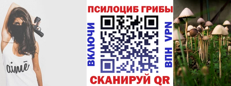 Псилоцибиновые грибы GOLDEN TEACHER  Данков 